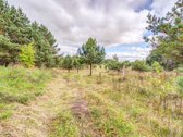 Parduodamas vienas iš šešių sklypų,(galima - nuotraukos Nr. 13