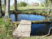 Parduodama jauki ir prižiūrėta sodyba - nuotraukos Nr. 10
