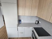 Išnuomojamas naujai suremontuotas 4 kambarių - nuotraukos Nr. 29