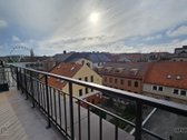 Išnuomojamas naujai suremontuotas 4 kambarių - nuotraukos Nr. 43