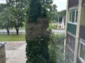 Parduodamas 1 kambario butas Marių g. 16, Kaunas - nuotraukos Nr. 15