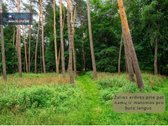 Parduodamas erdvus 4 kambarių butas Vilniuje, - nuotraukos Nr. 19