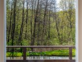 Parduodamas Erdvus Ir Kokybiškai Įrengtas - nuotraukos Nr. 18