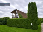 Parduodamas jaukus sodo namas su mobiliu - nuotraukos Nr. 15