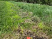 Parduodamas 7,5 a namų valdos sklypas - nuotraukos Nr. 6