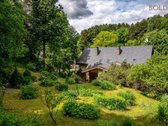 Filaretų gatvės pabaigoje, apsuptas brandaus - nuotraukos Nr. 3