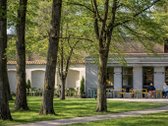 Filaretų gatvės pabaigoje, apsuptas brandaus - nuotraukos Nr. 23