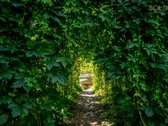 Kurorto aura alsuojančiame tikrajame Žvėryne - nuotraukos Nr. 16