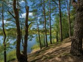 Tarp trijų ežerų šalia Pilaitės, uždaroje - nuotraukos Nr. 26