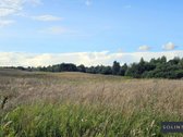Parduodamas erdvus 1,3 ha žemės ūkio - nuotraukos Nr. 11