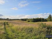 Parduodamas erdvus 1,3 ha žemės ūkio - nuotraukos Nr. 9