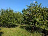 Lazdijų rajone, Ročkių kaime, Trako g.11 - nuotraukos Nr. 14