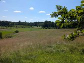 Lazdijų rajone, Paliūnų kaime, Beržų g.20 ir - nuotraukos Nr. 30