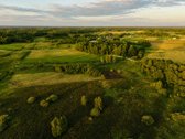 Parduodamas 1,55 Ha Žemės Ūkio Paskirties - nuotraukos Nr. 5