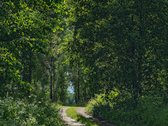 Gražioje Vietoje Gražūs Sklypai. - nuotraukos Nr. 7