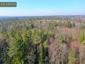 Parduodamas Miškų ūkio paskirties sklypas - nuotraukos Nr. 2