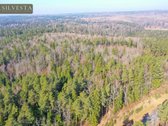 Parduodamas Miškų ūkio paskirties sklypas - nuotraukos Nr. 3