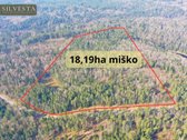 Parduodamas Miškų ūkio paskirties sklypas - nuotraukos Nr. 4