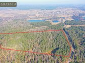 Parduodamas Miškų ūkio paskirties sklypas - nuotraukos Nr. 5