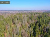 Parduodamas Miškų ūkio paskirties sklypas - nuotraukos Nr. 7