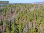 Parduodamas Miškų ūkio paskirties sklypas - nuotraukos Nr. 8