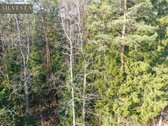 Parduodamas Miškų ūkio paskirties sklypas - nuotraukos Nr. 11