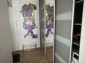 Nuo rugsėjo mėnesio ilgalaikei nuomai - nuotraukos Nr. 9