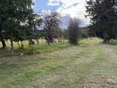 Parduodamas sklypas vaizdingoje Kelmės rajono - nuotraukos Nr. 12