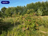 Parduodama Išskirtinė Sodyba Su Net 1,7339 Ha - nuotraukos Nr. 13
