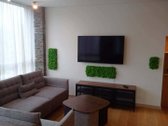 3 kambarių butas Žalgirio g., Šnipiškėse
