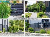 20.000 Eur Nuolaida Atvirų Durų Dienos Metu - nuotraukos Nr. 21