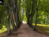 Erdvus Ir Tvarkingas 2 Kambarių Butas Alantos - nuotraukos Nr. 24