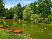 Čia nėra miesto triukšmo, langų prieš langus - nuotraukos Nr. 13