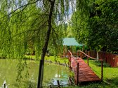 Čia nėra miesto triukšmo, langų prieš langus - nuotraukos Nr. 15