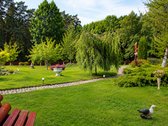 Čia nėra miesto triukšmo, langų prieš langus - nuotraukos Nr. 25