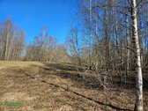 Parduodamas 10,77 ha žemės ūkio paskirties - nuotraukos Nr. 12