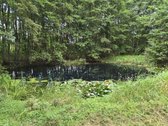 Parduodama sodyba su 5 ha sklypu – 0.39 ha - nuotraukos Nr. 15