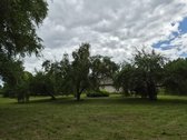 Parduodama sodyba su 5 ha sklypu – 0.39 ha - nuotraukos Nr. 12