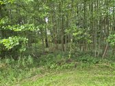 Parduodama sodyba su 5 ha sklypu – 0.39 ha - nuotraukos Nr. 18
