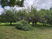 Parduodama sodyba su 5 ha sklypu – 0.39 ha - nuotraukos Nr. 13