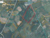Parduodama sodyba su 5 ha sklypu – 0.39 ha - nuotraukos Nr. 19