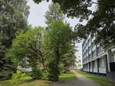 Naujai įrengtas butas studija Žvėryne prie - nuotraukos Nr. 16