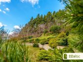 Nuomojamas erdvus namas išskirtinėje vietoje - nuotraukos Nr. 27