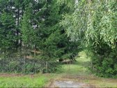 Raseinių R., Dievogalos K. - nuotraukos Nr. 5