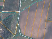 ? Parduodamas 3,19 ha žemės ūkio paskirties - nuotraukos Nr. 2