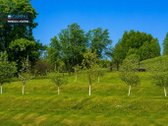 Mėgstate būti gamtoje? Mėgautis pirties bei - nuotraukos Nr. 27