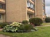 Labai šviesus ir jaukus butas patogioje - nuotraukos Nr. 14