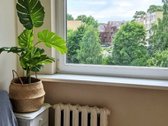 Nuomininkui Netaikomi Agentūros Mokesčiai - nuotraukos Nr. 6