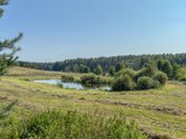 Parduodamas erdvus 7.73 ha ploto sklypas - nuotraukos Nr. 2