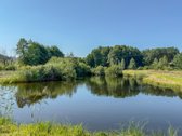 Parduodamas erdvus 7.73 ha ploto sklypas - nuotraukos Nr. 5